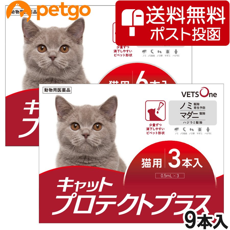 5%OFFクーポン】【ネコポス(同梱不可)】ベッツワン キャットプロテクトプラス 猫用 9本 (動物用医薬品) 通販 LINEポイント最大1.0%GET  | LINEショッピング