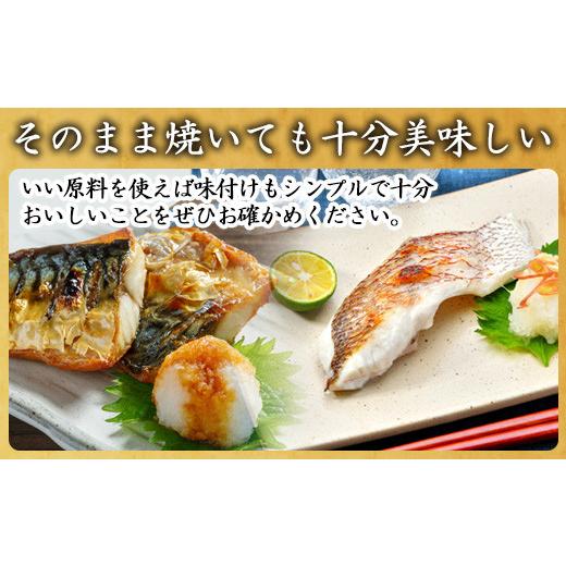 ふるさと納税 佐賀県 唐津市 「お歳暮」旬魚のひと塩切身 1枚70g~90g 全8枚でお届けします ぶり90g×2切 さば90g×2切 真鯛70g×2切 さわら90g×1切 かんぱち9…