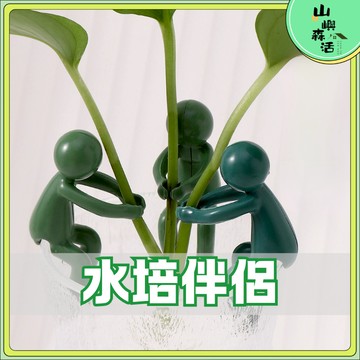 【現貨🌳隔日到貨】新款水培植物生長伴侶 水培器皿扶正扶枝 桌麵裝飾 固定造型 水培伴侶 水培植物扶正器 扶枝工具