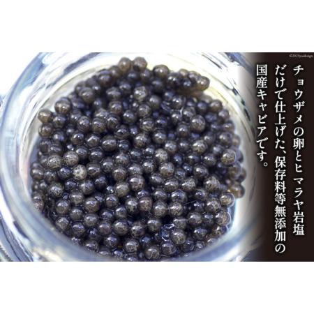 ふるさと納税 日向キャビア(Hyuga Caviar) 20g(冷凍・フレッシュキャビア) [宮崎キャビア 宮崎県 日向市 452060323] 宮崎県日向市