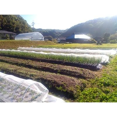 ふるさと納税 岡山市 「おかやま有機無農薬農産物」認証野菜セット 〜旬の野菜詰め合わせ7〜12品目程度〜