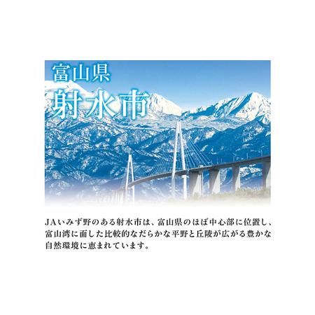 ふるさと納税 越中いみず野米一番 10kg（コシヒカリ） 富山県射水市