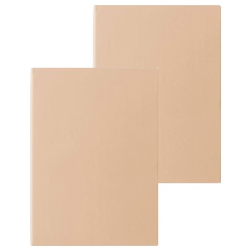 PENROTE 筆樂 B5柔色活頁筆記本 26孔 E0475 奶茶色  2本