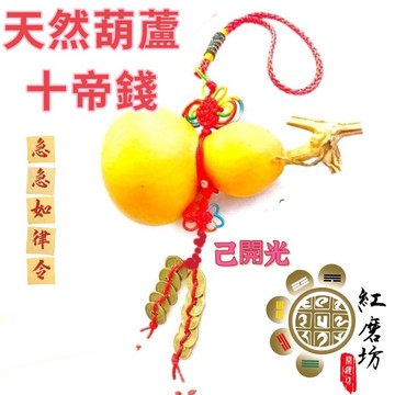 【紅磨坊】葫蘆 天然葫蘆 蒲瓜 開光 壓樑葫蘆6公分至7公分  天然葫蘆 十枚銅錢吊飾 掛飾 招財 化煞守財 轉運