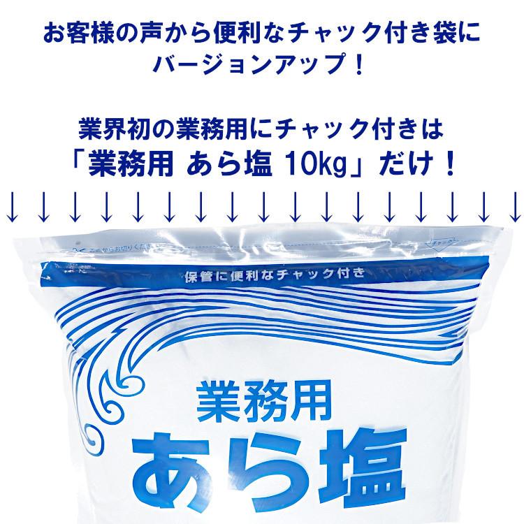 業務用 あら塩 10kg×10袋 計100kg