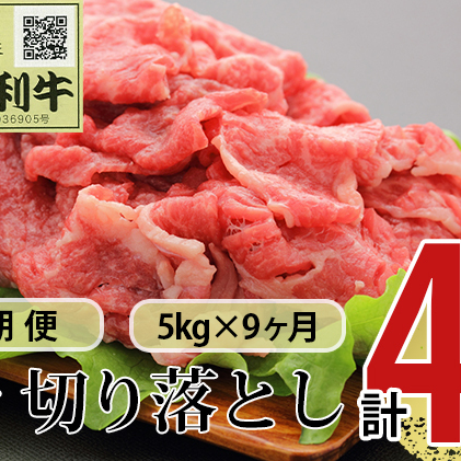 《定期便》9ヶ月連続 秋田由利牛 バラ切り落とし 5kg（1kg×5パック）