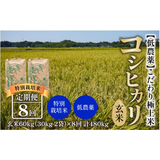 ふるさと納税 福井県 あわら市 《定期便》60kg×8回 480kg 田んぼ一反分 特別栽培米 コシヒカリ 玄米 低農薬 《食味値85点以上！こだわり極上玄…