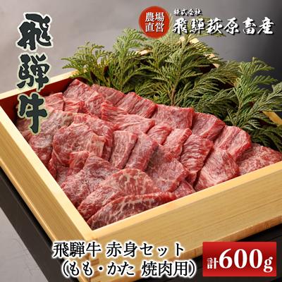 ふるさと納税 下呂市 飛騨牛赤身焼肉セット 計600g(もも焼肉 300g・かた焼肉 300g)