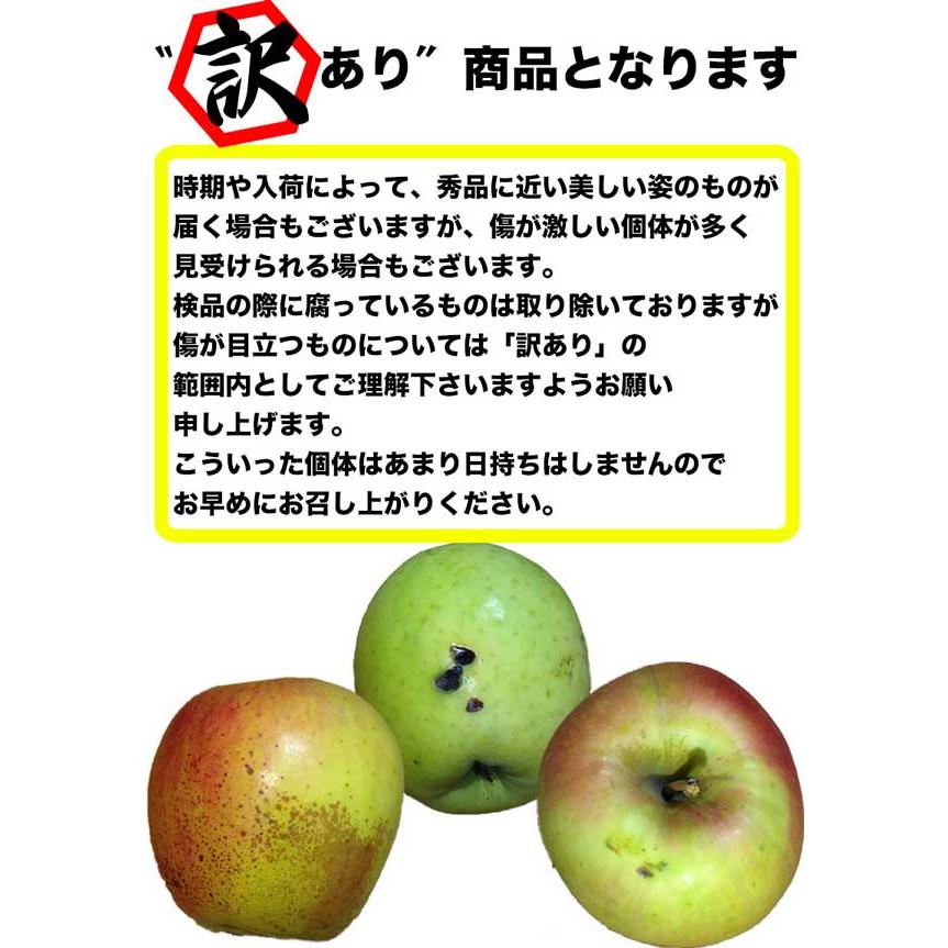 りんご 青森県産 ぐんま名月5kg 訳あり 林檎 リンゴ お取り寄せ フルーツ 果物 アップル 家庭用(傷あり) 青森県産 ぐんまめいげつリンゴ 送料無料