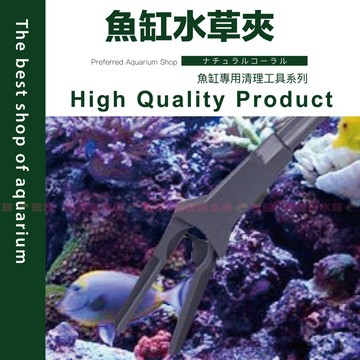 魚寶貝【魚缸整理夾／大夾嘴】✨魚缸整理 懶人必備〞水草工具 水草缸 水族用品 魚缸造景 水草造景 水草佈景 水族造景