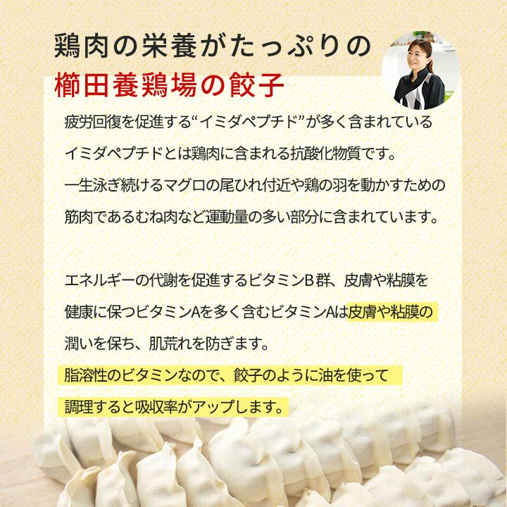 ＼おひとり様1回限り／お試しで1袋！名古屋コーチン餃子冷凍餃子 餃子 送料無料 お試し 生餃子 冷凍生餃子 食品 惣菜 中華 鶏肉