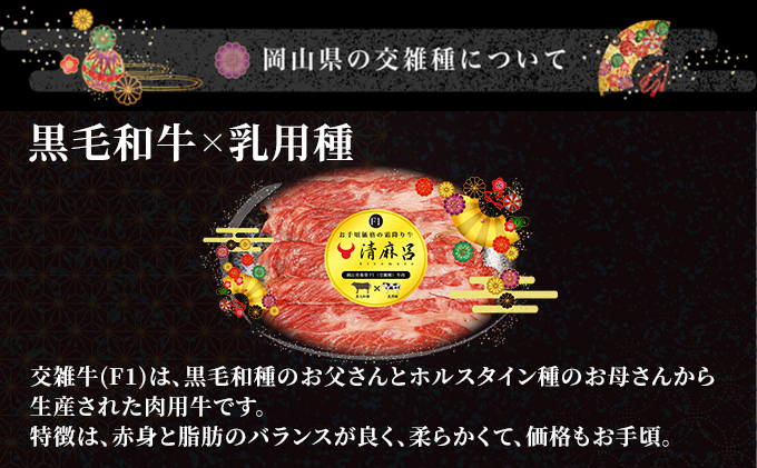 清麻呂 牛 ロース ステーキ肉 約1.62kg（約180g×9枚） 岡山市場発F1 牛肉