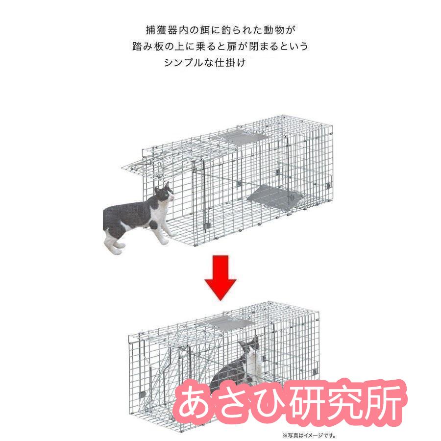 捕獲器 猫 アニマルトラップ トラップ Lサイズ 駆除 捕獲 踏板式 捕獲機 動物 罠 保護 庭 農業 アニマルキャッチャー LB-201