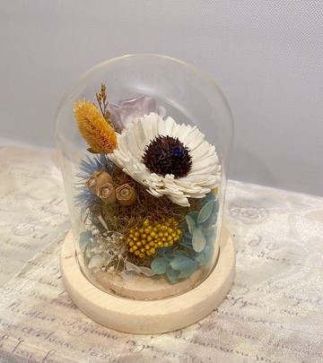 太陽花玻璃盅 畢業禮物永生玫瑰 夜燈 防塵罩 情人節 生日 客製化