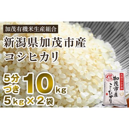 ふるさと納税 新潟県加茂市産 特別栽培米コシヒカリ 精米 10kg（5kg×2） 従来品種コシヒカリ 加茂有機米生産.. 新潟県加茂市