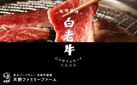 北海道 白老産 黒毛和牛 特上 モモ 焼肉 700g (3・4人前)