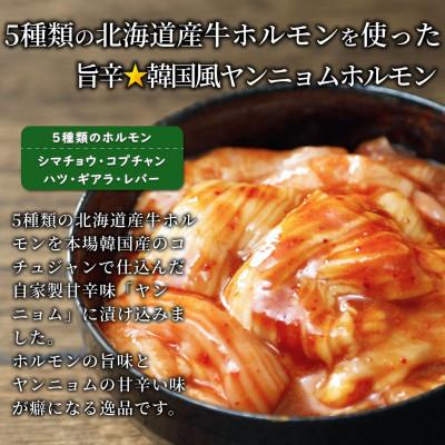 ふるさと納税 池田町 3種の北海道焼肉セット(ジンギスカン・道産味付豚ホルモン・道産牛甘辛ヤンニョムホルモン)4.5kg