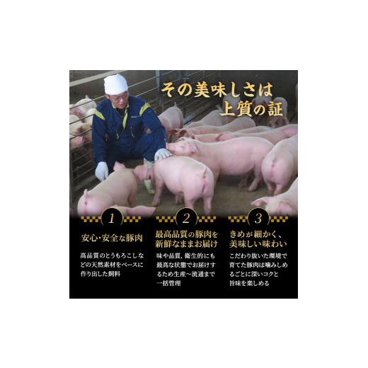 ふるさと納税 宮城県 大河原町 もちぶた館オリジナル 和豚もちぶた キーマカレー 200g×3箱