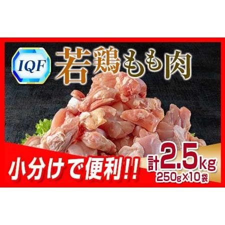 ふるさと納税 小分けで便利 カット済 若鶏 もも肉 計2.5kg 250g×10袋 肉 鶏 鶏肉 国産 おかず 食品 お肉 チキン 送料無料_B219-23 宮崎県日南市