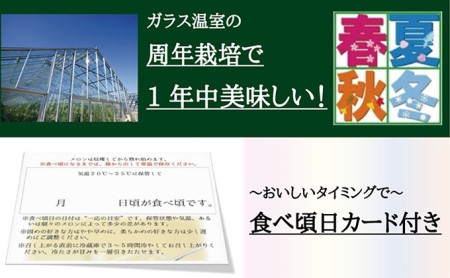 数量限定 定期便 6ヶ月 メロン 静岡 クラウンメロン 山等級 1玉 ギフト マスクメロン 果物 フルーツ 贈答 高級 デザート おやつ 定期 お楽しみ 6回