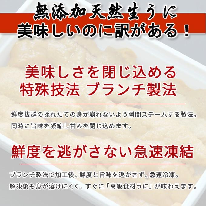 生ウニ 100g×3パック 無添加 天然物 送料無料 お取り寄せグルメ