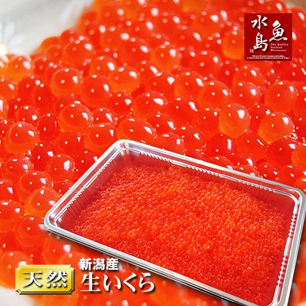 新潟産 生いくら 季節限定「とろりやわらか 生イクラ」 500g