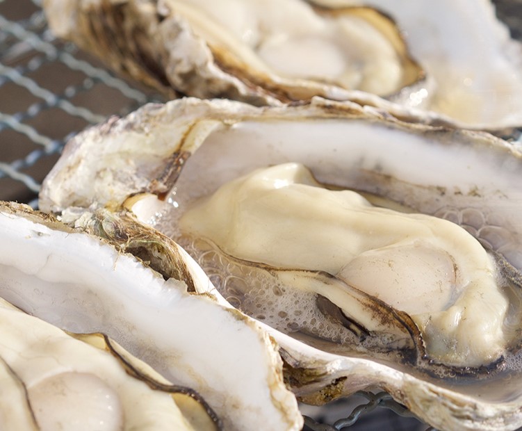 大粒で食べごたえバツグン！名産地広島のカキ 広島産 むき牡蠣 大粒Lサイズ以上 約1kg（解凍後正味約850g）加熱用 生 冷凍剥きカキ 