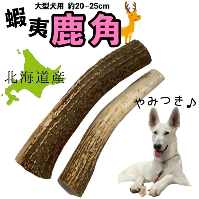 NEW ARRIVAL 犬の噛むおもちゃ鹿の角小型犬用 planejadosmoveis.com.br