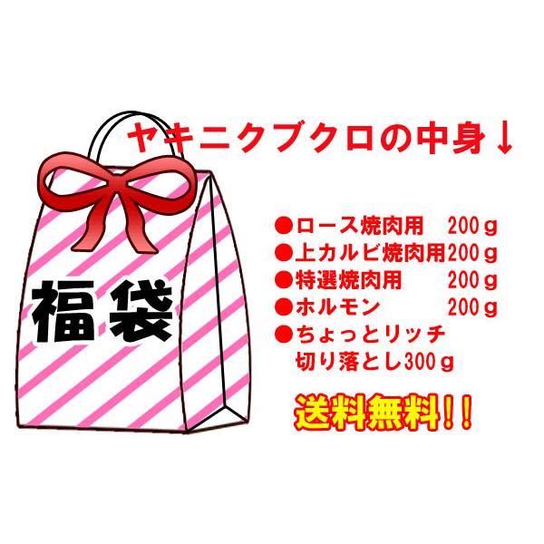 福袋 送料無料 ヤキニクブクロ 阿波牛の藤原 黒毛和牛 焼肉 セット