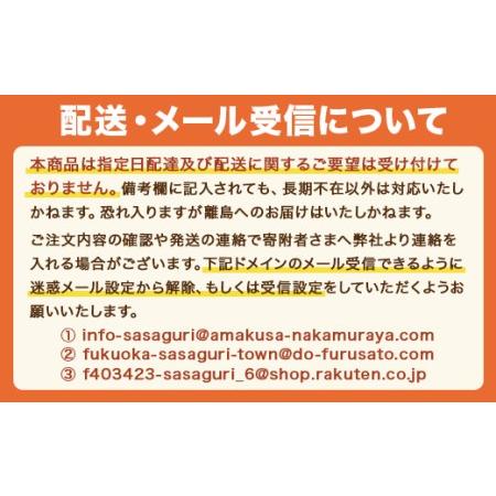 ふるさと納税 YZ002 中国産 うなぎの蒲焼３尾 タレ付き（頭付き） 福岡県篠栗町