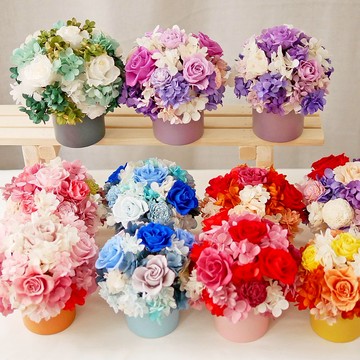 畢德邁爾圓桌花 極度花燥 永生花 花禮