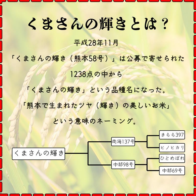 お米 米 10kg 白米 熊本県産 くまさんの輝き あすつく 新米 令和5年産 5kg2個 くまモン くまもとのお米 富田商店 とみた商店