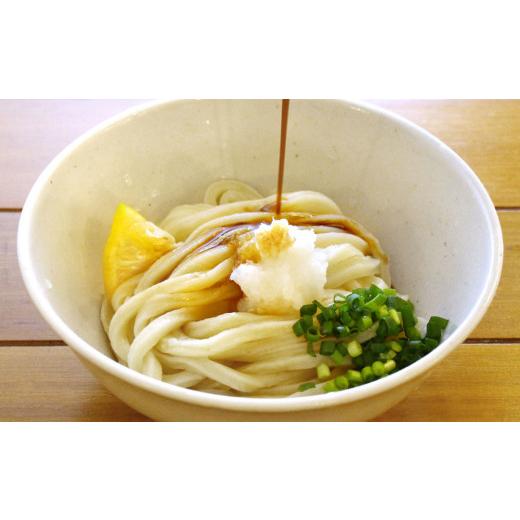 ふるさと納税 千葉県 鴨川市 本格手打ちうどん(冷凍)　約3kg（16人前）[0010-0266]