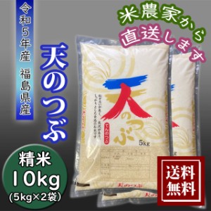 米 新米 10Kg 天のつぶ お米 10kg （5kg×2袋） 農家直送 福島県産 令和5年産 送料無料 