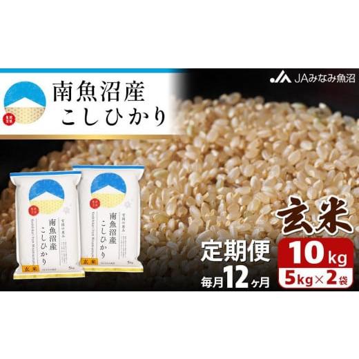 ふるさと納税 新潟県 南魚沼市 南魚沼産こしひかり玄米（10kg×全12回）