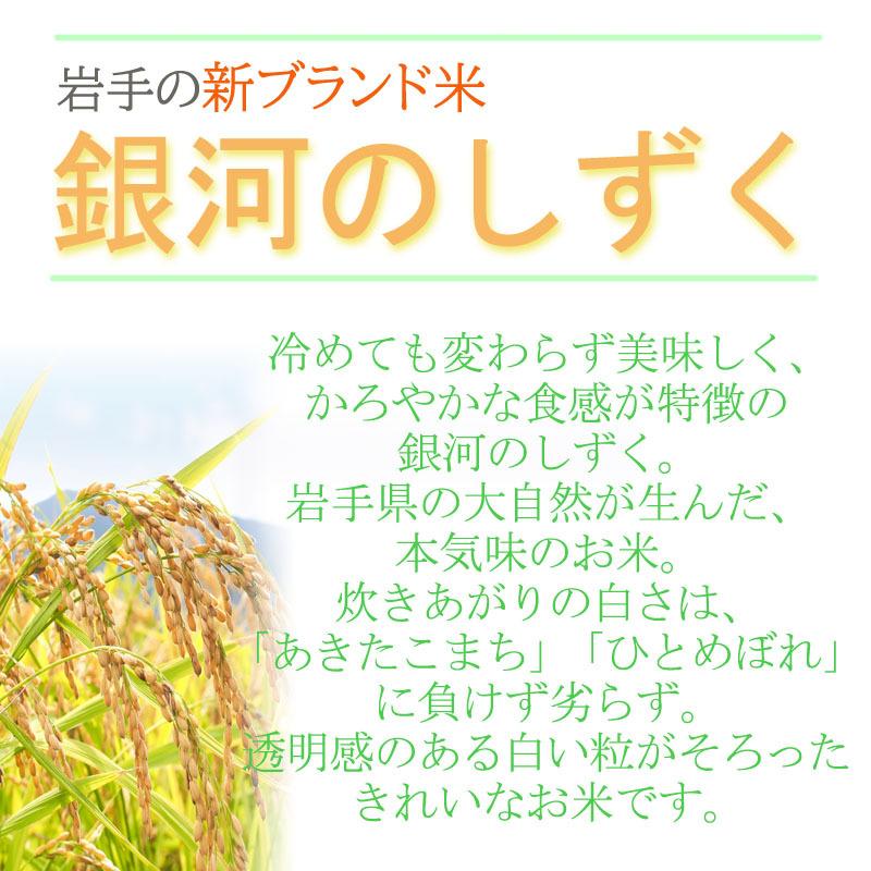 ポイント消化 米 お米 送料無料 銀河のしずく 150g (1合) 令和4年産 岩手県産 白米 無洗米 分づき 玄米 当日精米 真空パック メール便 ゆうパケ