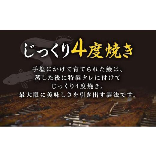 ふるさと納税 鹿児島県 大崎町 鹿児島県産うなぎ　蒲焼き20尾