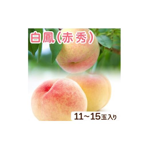 ふるさと納税 和歌山県 紀の川市 和歌山県紀の川市産 白鳳(赤秀) 11-15玉入り 桃 モモ もも 株式会社松源《2024年6月下旬〜7月中旬頃より順次出荷》和歌山県 …