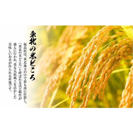 ふるさと納税 福島県 いわき市 福島県いわき市産「コシヒカリ」精米5kg・玄米5kg　食べ比べ（おいしい炊き方ガイド付き）