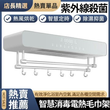 【新北現貨】110V智慧電熱毛巾架 加熱烘幹架 浴室置物架 太空鋁免打孔浴巾架