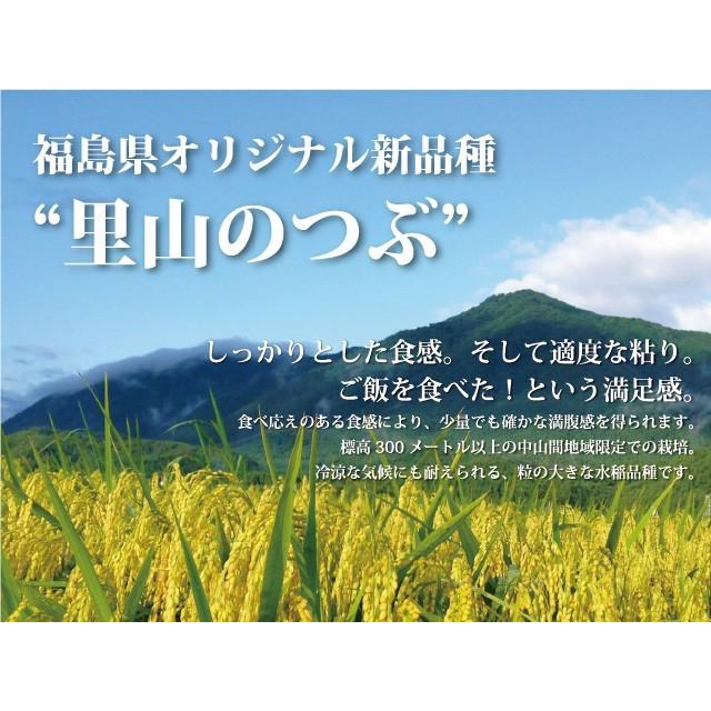 新米 里山のつぶ 精米 5kg 会津産 令和5年産 お米 ※九州は送料別途500円・沖縄は送料別途1000円