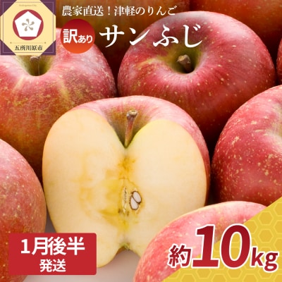 りんご 10kg 訳あり 青森  サンふじ 