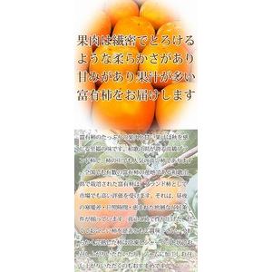 ふるさと納税 和歌山秋の味覚　富有柿　約４ｋｇ化粧箱入「2024年11月上旬以降発送予定」かつらぎ町産 和歌山県かつらぎ町