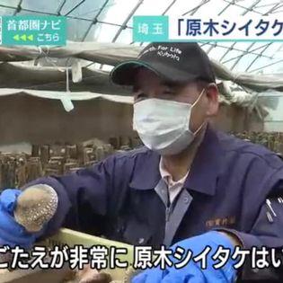 生産者直送！ 原木生しいたけ サイズおまかせ　1Kg　　お買得　貫井園 の 原木椎茸　原木しいたけ　原木シイタケ