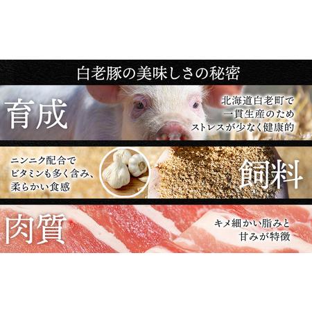 ふるさと納税 北海道産 白老豚 肩ロース ブロック 500g×2パック 北海道白老町