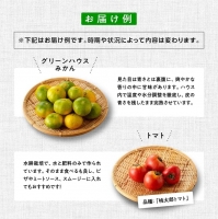 産直おすず村 季節の野菜と果物 厳選 詰め合わせセット（大）