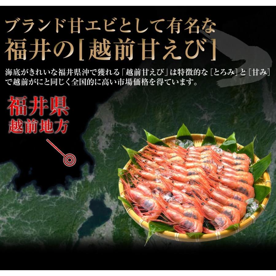 えび 甘エビ エビ 福井越前産 兵庫山陰産 甘海老 お刺身OK 酸化防止剤無添加 子持ち甘エビ 生500g 獲れたて船上冷凍