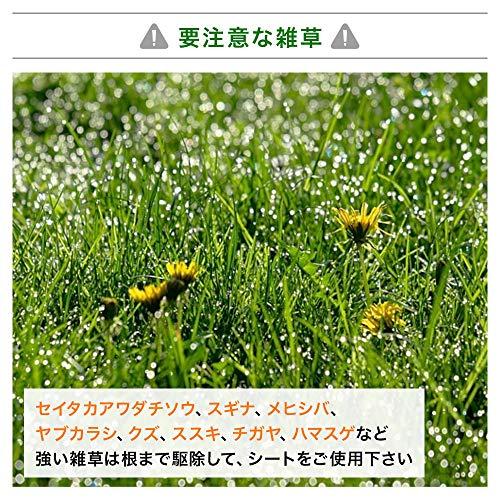 iimono117 防草シート 除草シート 雑草シート 通水性 園芸用シート 50ｍ ／ 砂利 杭 ブラック ガーデニング 家庭菜園 (幅0.5m)