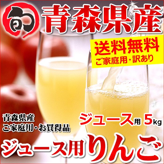 青森県産 りんご サンふじ 5kg (ご家庭用 13〜22玉 ジュース・スムージー用)