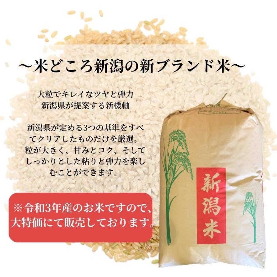 特別価格！訳あり　令和3年産　新潟県産新之助　玄米　30kg　一等米　業務用米　古米